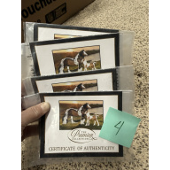 Breyer Material Premier Club COA Rhiannon & Rhemi