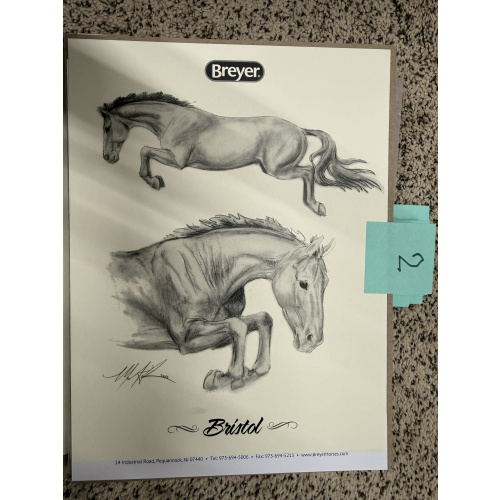 Breyer Material Premier Club Drawing Bristol