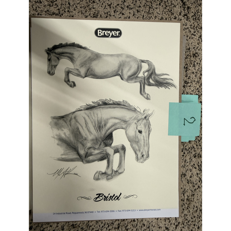 Breyer Material Premier Club Drawing Bristol