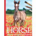 Horse and Mule Images for Artists’ Reference and Inspiration