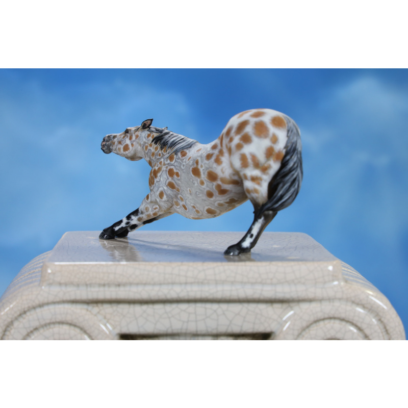 Peacock Bay Leopard Appaloosa Stretching Adorable Little Stablemate Scale Mare 3d Print
