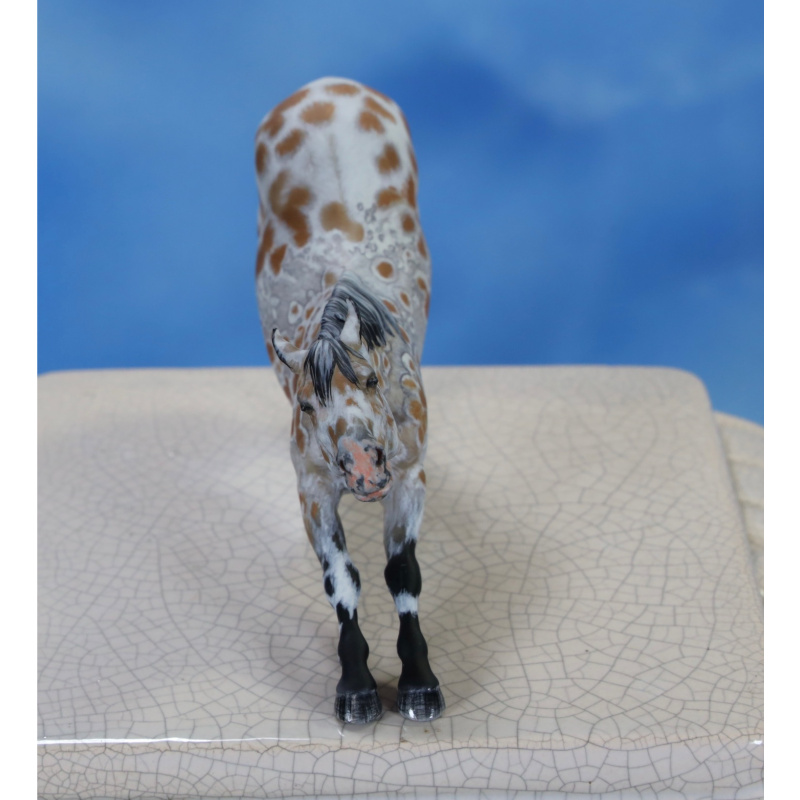 Peacock Bay Leopard Appaloosa Stretching Adorable Little Stablemate Scale Mare 3d Print