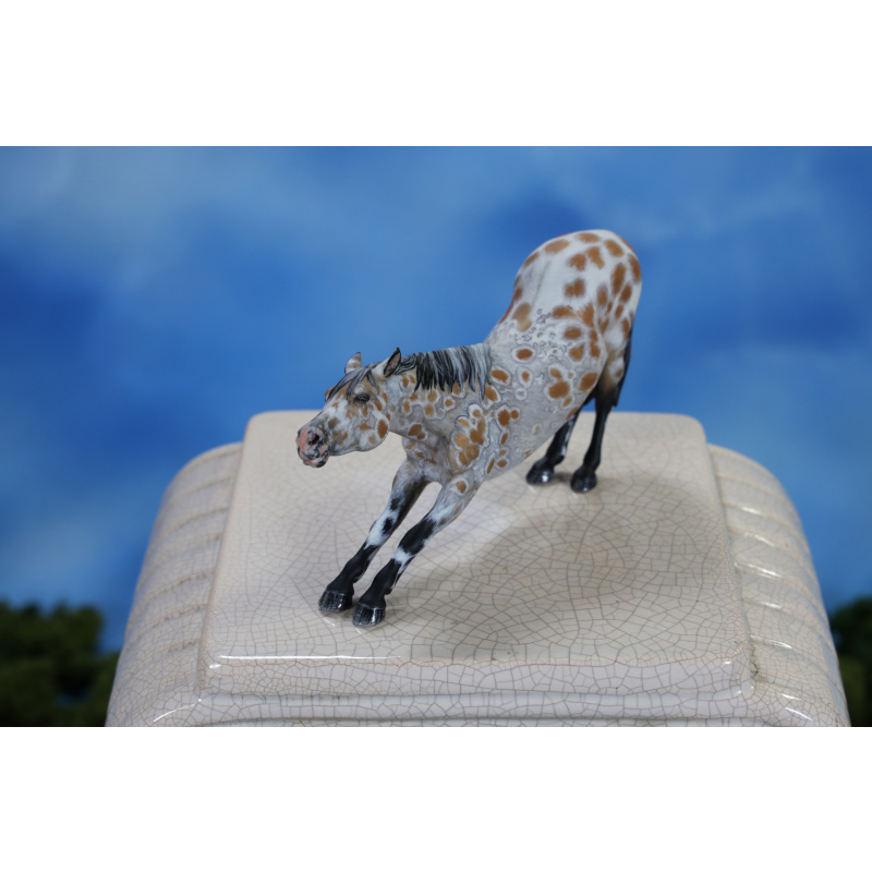 Peacock Bay Leopard Appaloosa Stretching Adorable Little Stablemate Scale Mare 3d Print