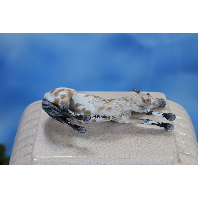 Peacock Bay Leopard Appaloosa Stretching Adorable Little Stablemate Scale Mare 3d Print