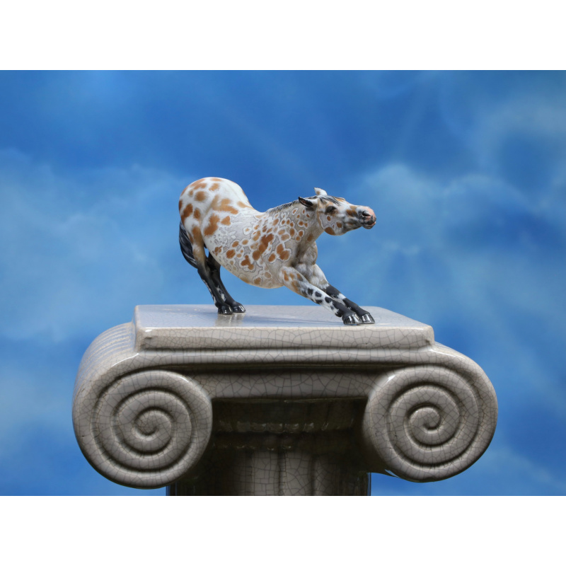 Peacock Bay Leopard Appaloosa Stretching Adorable Little Stablemate Scale Mare 3d Print