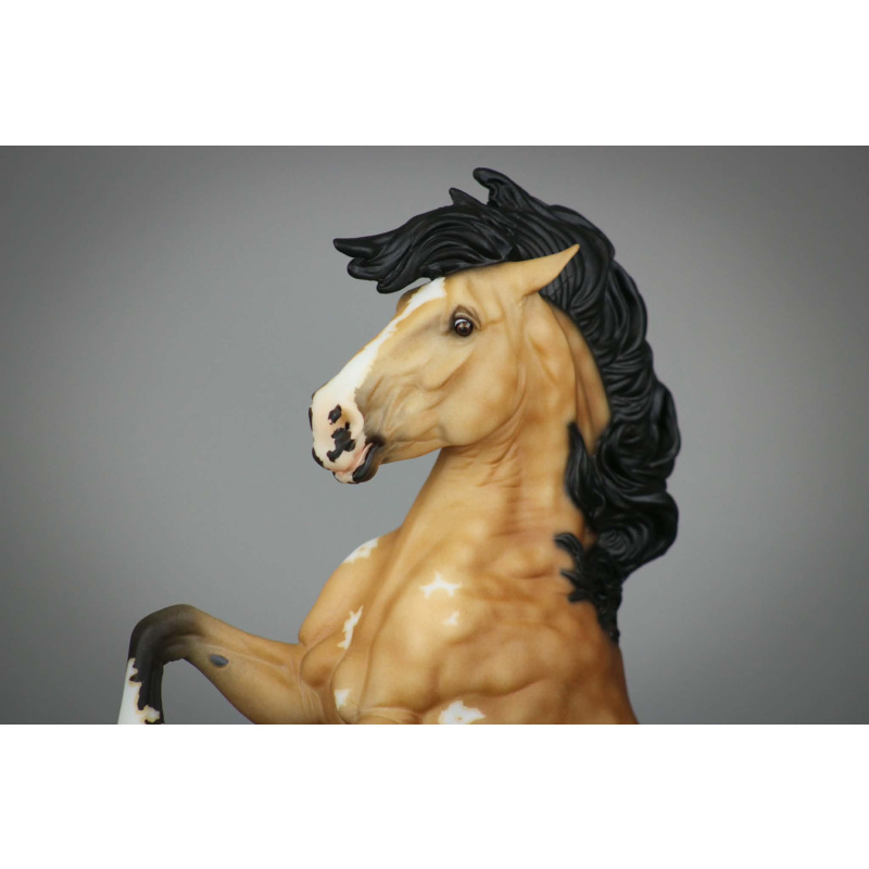 Drastic Fireheart Custom ~ Dapple Sooty Buckskin Sabino Pinto