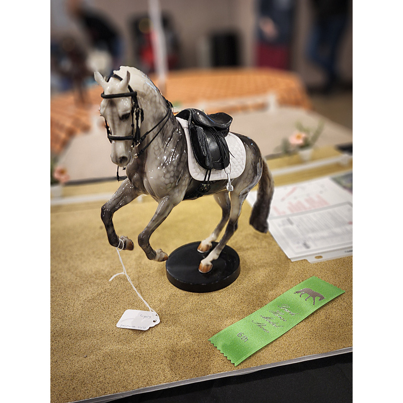 LSQ Dressage Tack Set