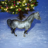 Breyer Horse proud arabian mare