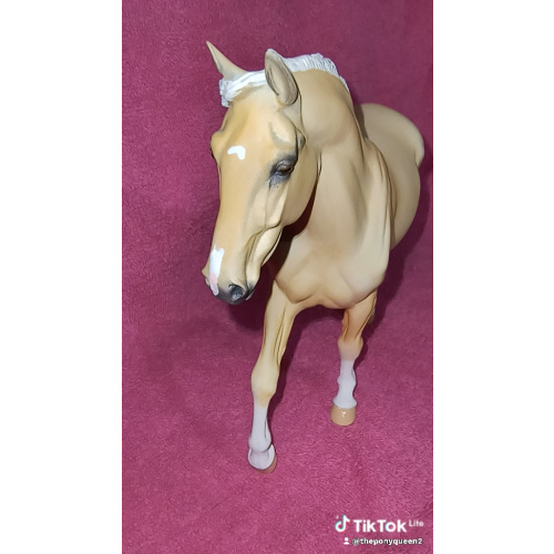 Beautiful palomino warmblood