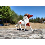 Red tovero pony