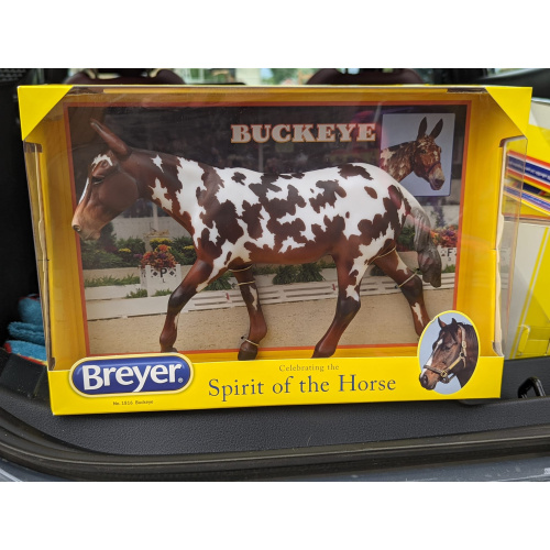 Breyer #1816 Buckeye