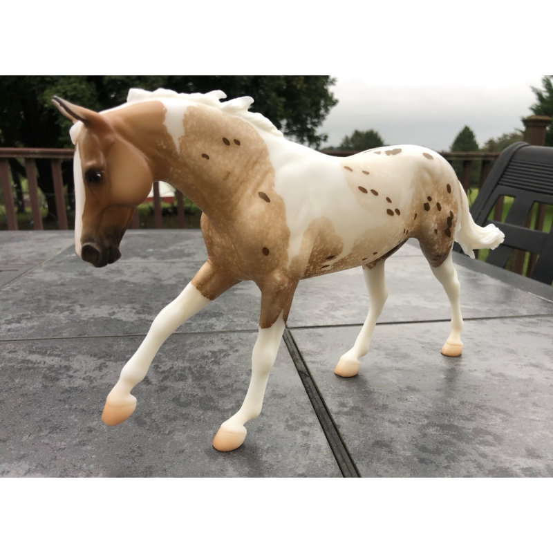 Breyerfest 2021 Pintaloosa surprise