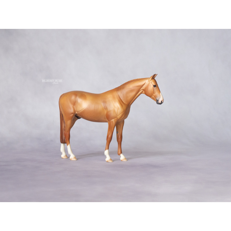 Chestnut Don Horse Custom