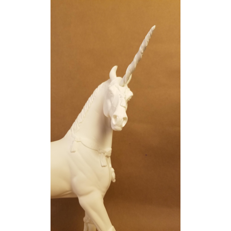 Sadaa Marwari Unicorn