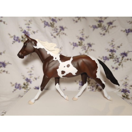 Palouse Custom Trotter