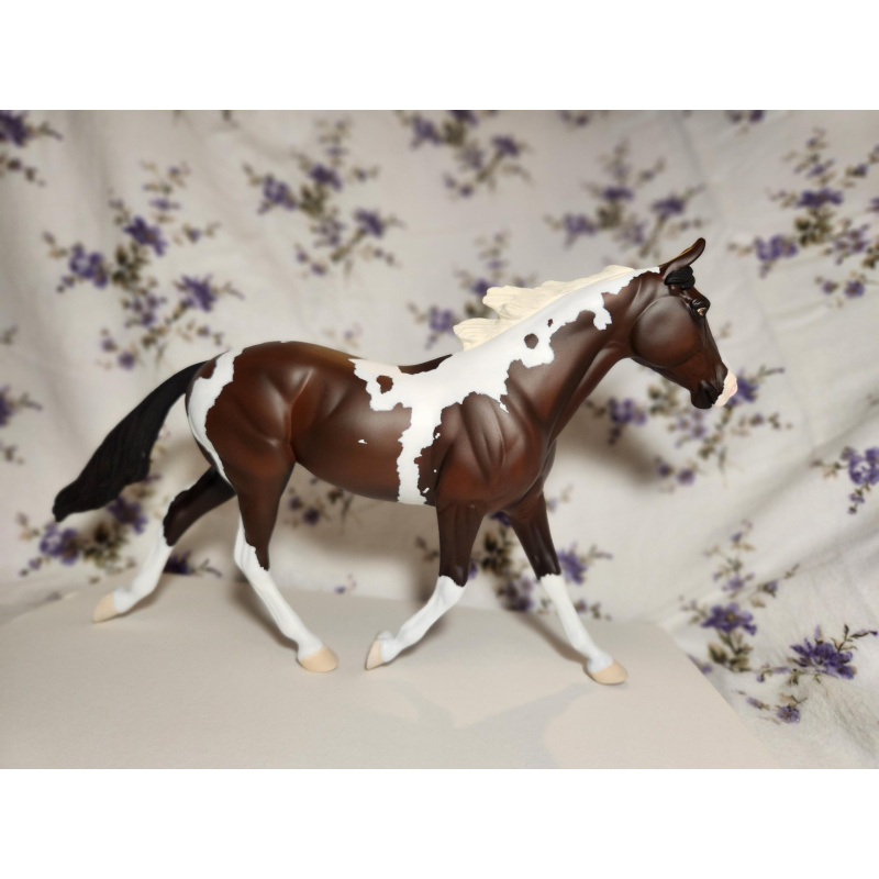 Palouse Custom Trotter