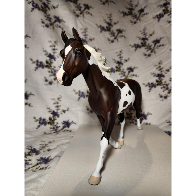 Palouse Custom Trotter