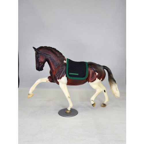 Dressage and Hunter/Jumper Saddle Pads  $12.00 - $15.00 each