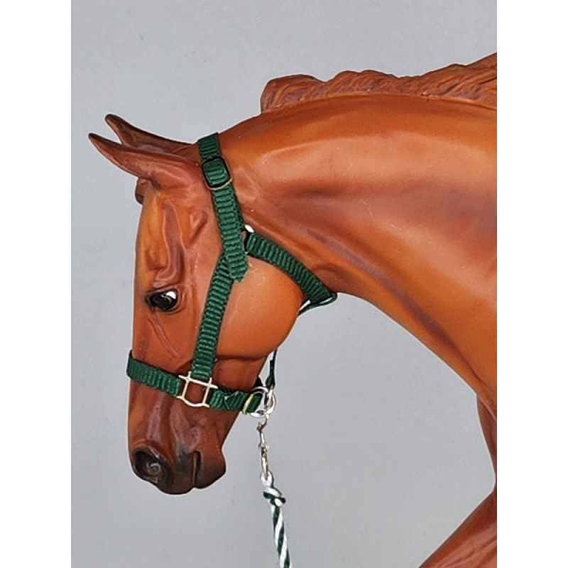 Nylon Halters of various sizes, features, and prices