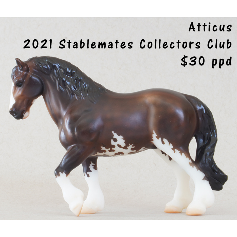 Breyer Stablemate Atticus - Stablemates Collectors Club
