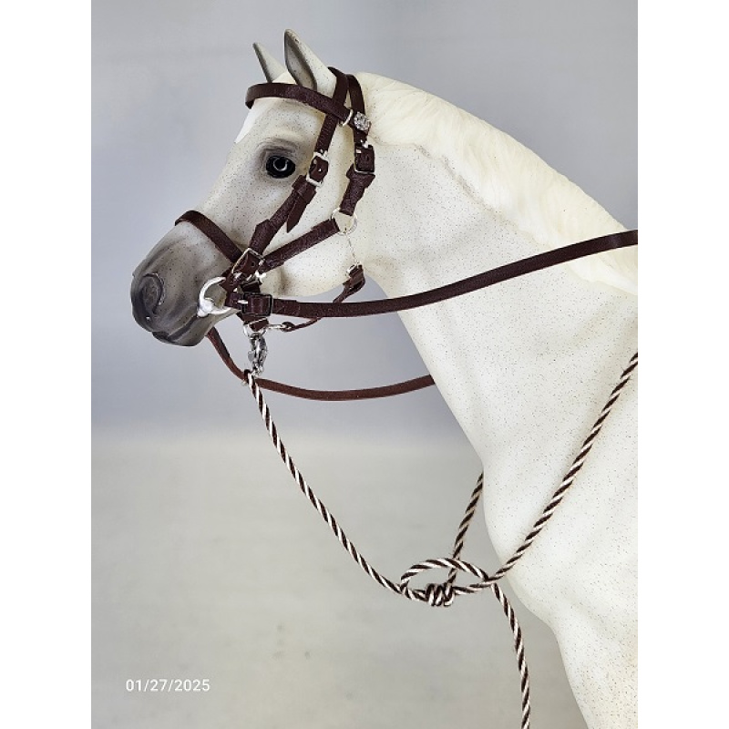 Leather Halter Bridle  LH008