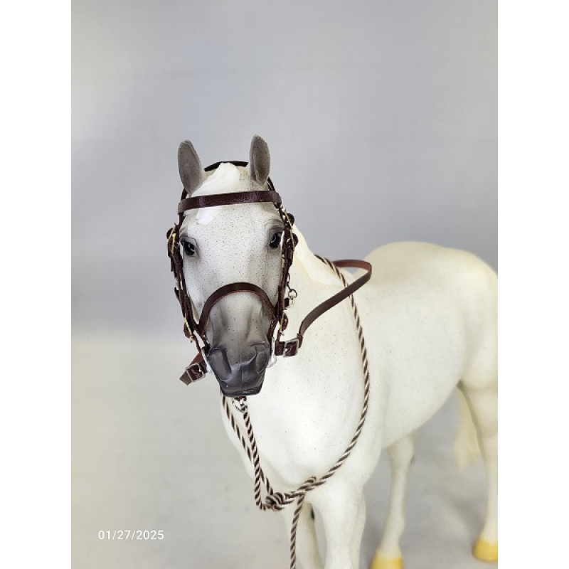 Leather Halter Bridle  LH008