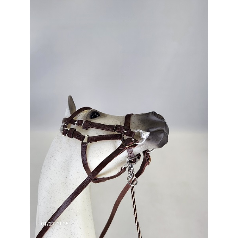 Leather Halter Bridle  LH008