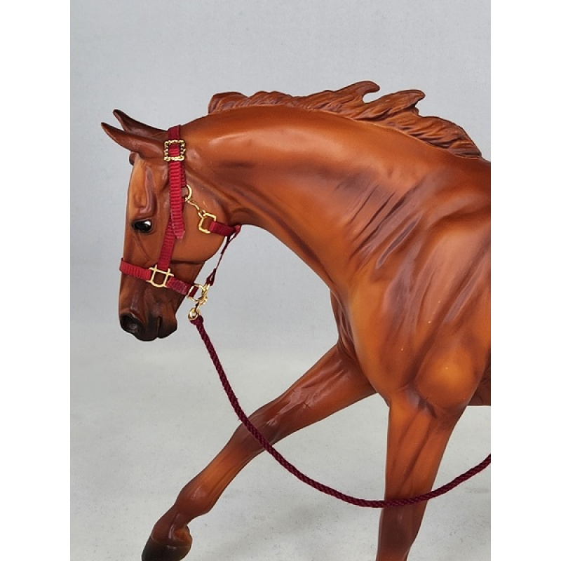 Nylon Halters of various sizes, features, and prices