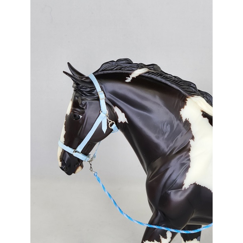 Nylon Halters  $17.00 each