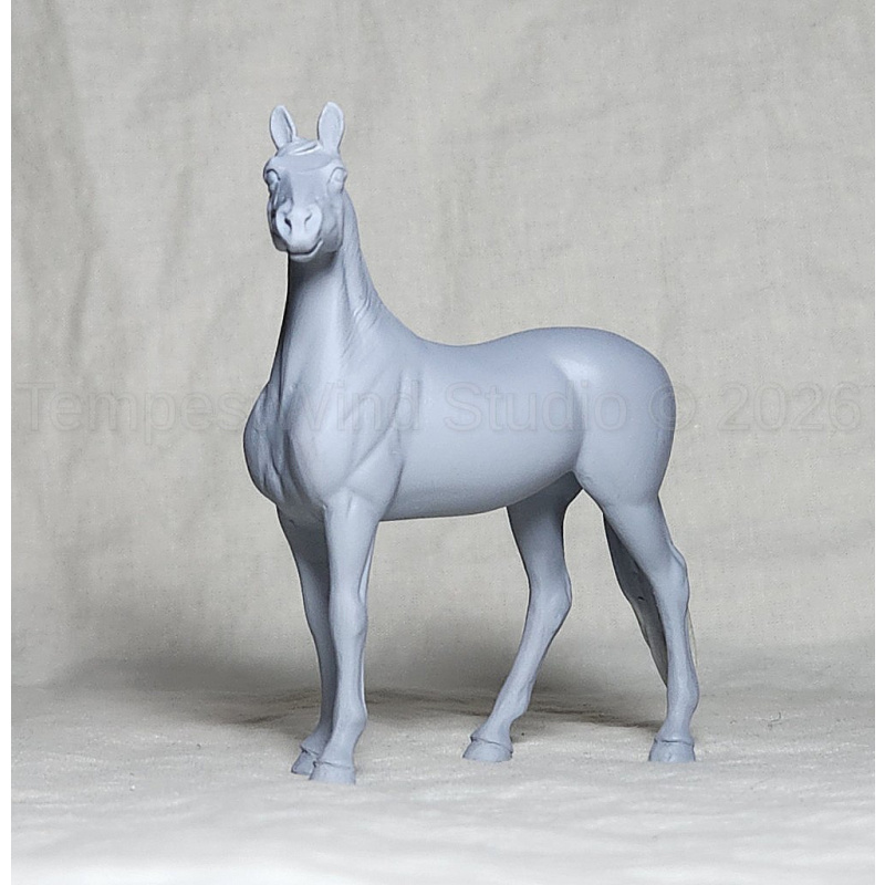 Custom Breyer G3 Thoroughbred