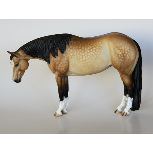 Traditional “Lola” Toasty Dappled Buckskin
