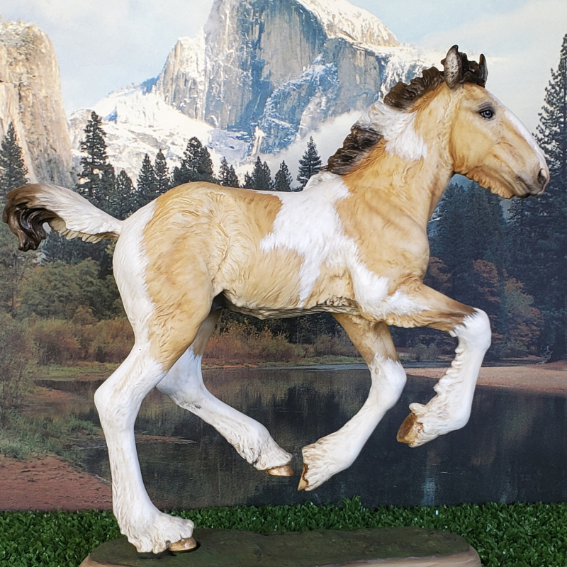 “Ferguson” Buckskin Tobiano with Blue Eyes