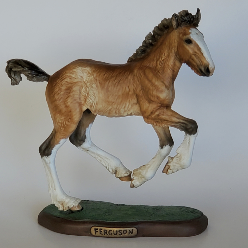 “Ferguson” Golden Bay Shire Colt