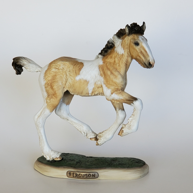“Ferguson” Buckskin Tobiano with Blue Eyes
