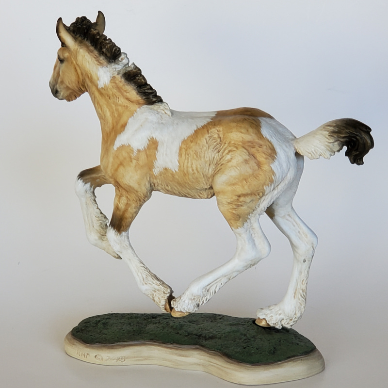 “Ferguson” Buckskin Tobiano with Blue Eyes