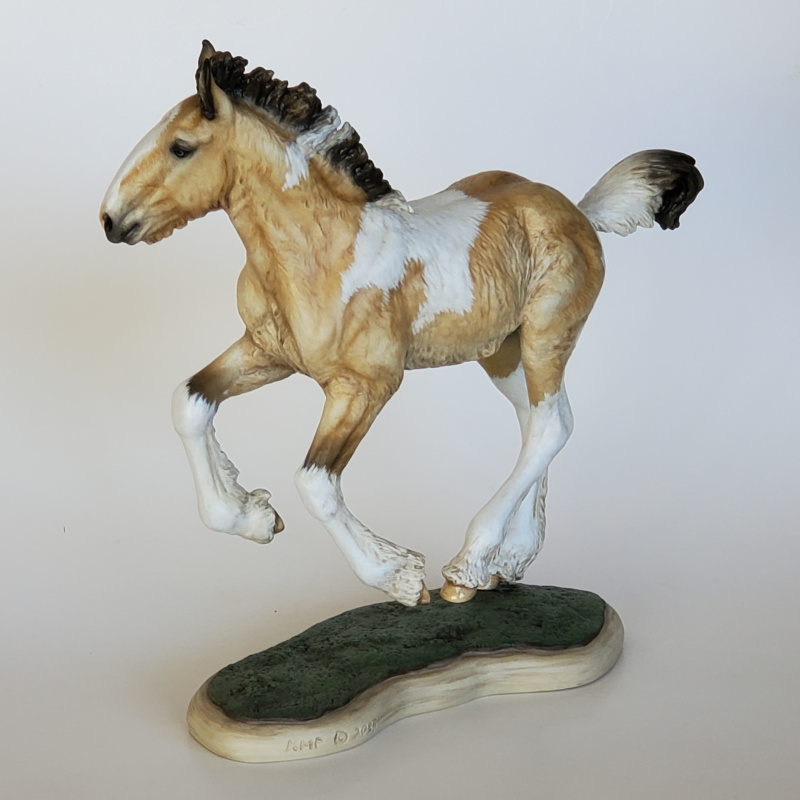 “Ferguson” Buckskin Tobiano with Blue Eyes