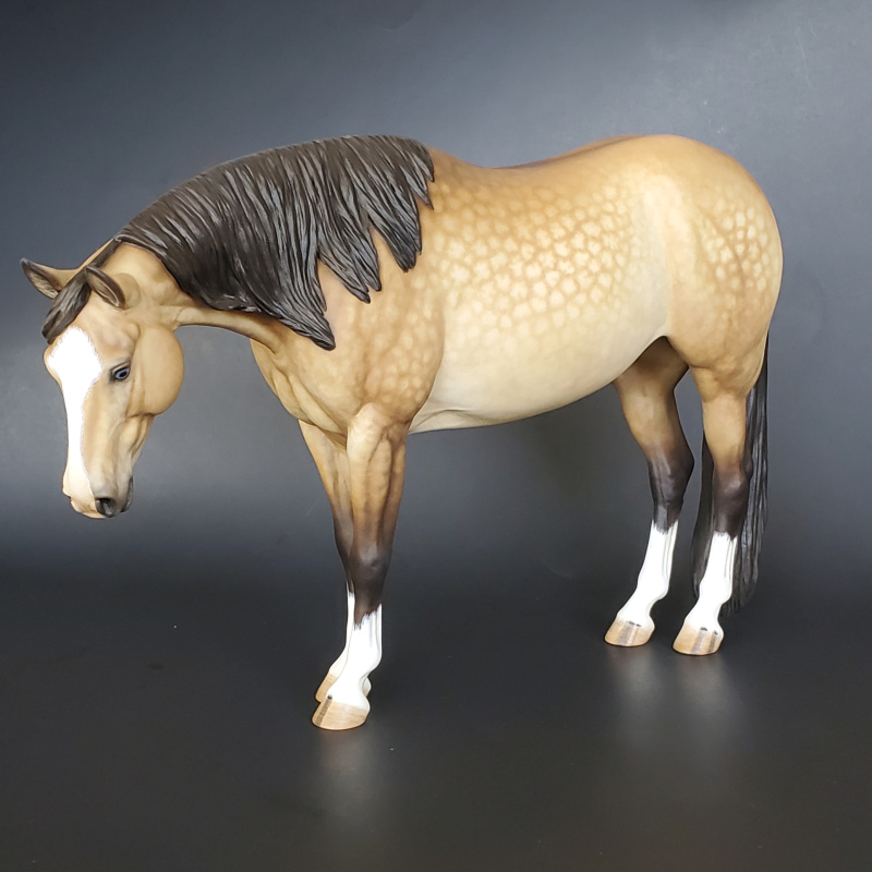 Traditional “Lola” Toasty Dappled Buckskin