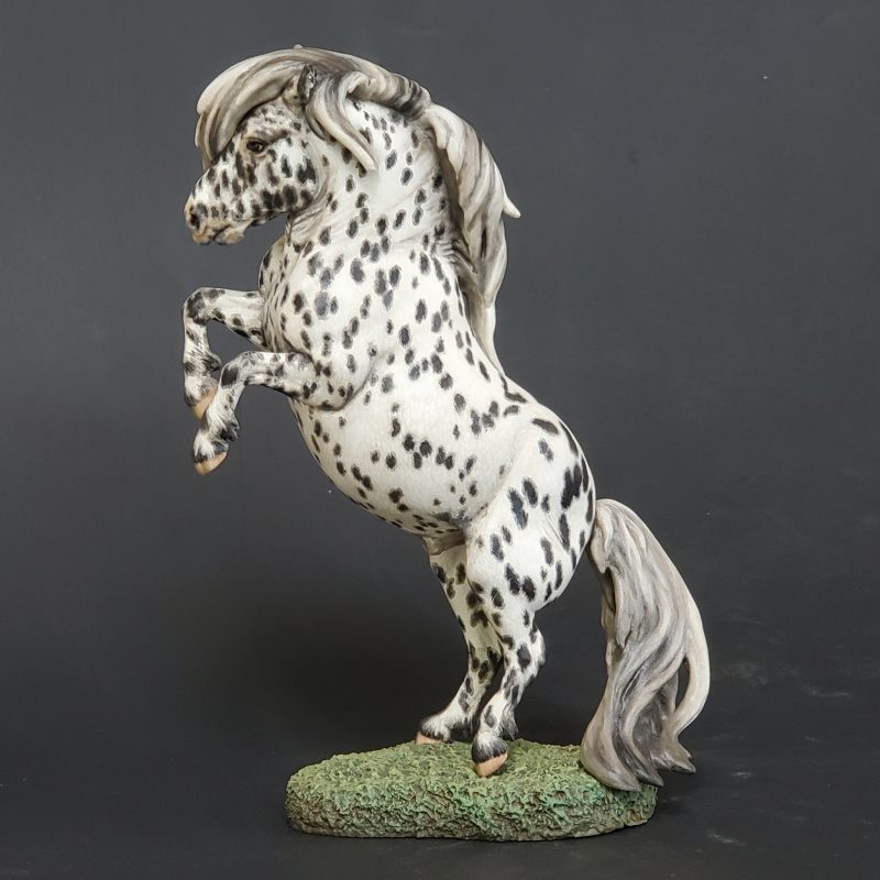 “Dibley” Leopard Appaloosa