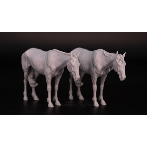 Artist resin Mongolian "Enkh"