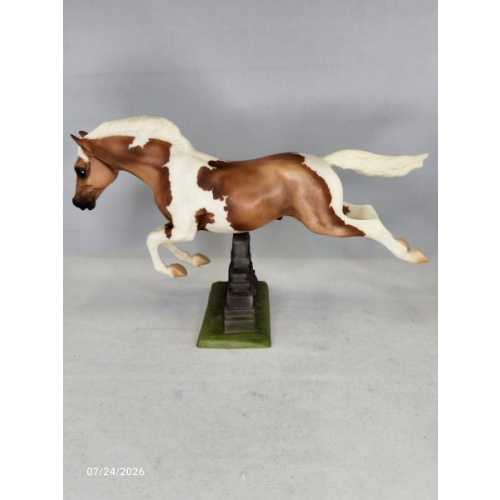 Fun Foal Stallion