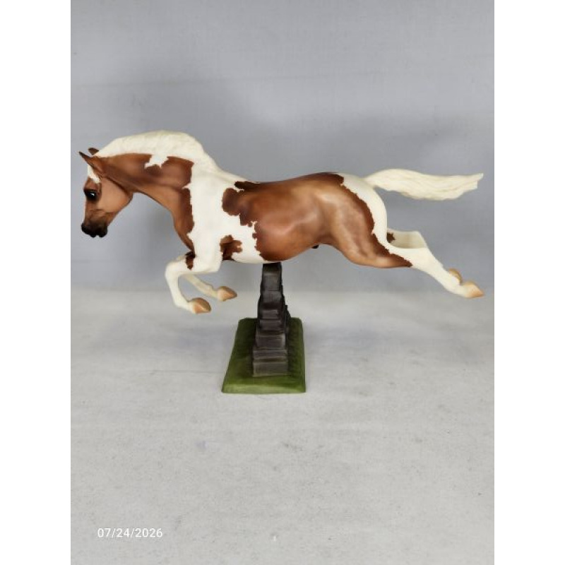 Fun Foal Stallion
