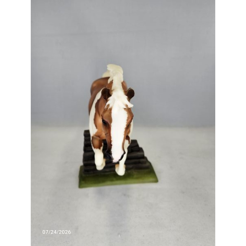 Fun Foal Stallion