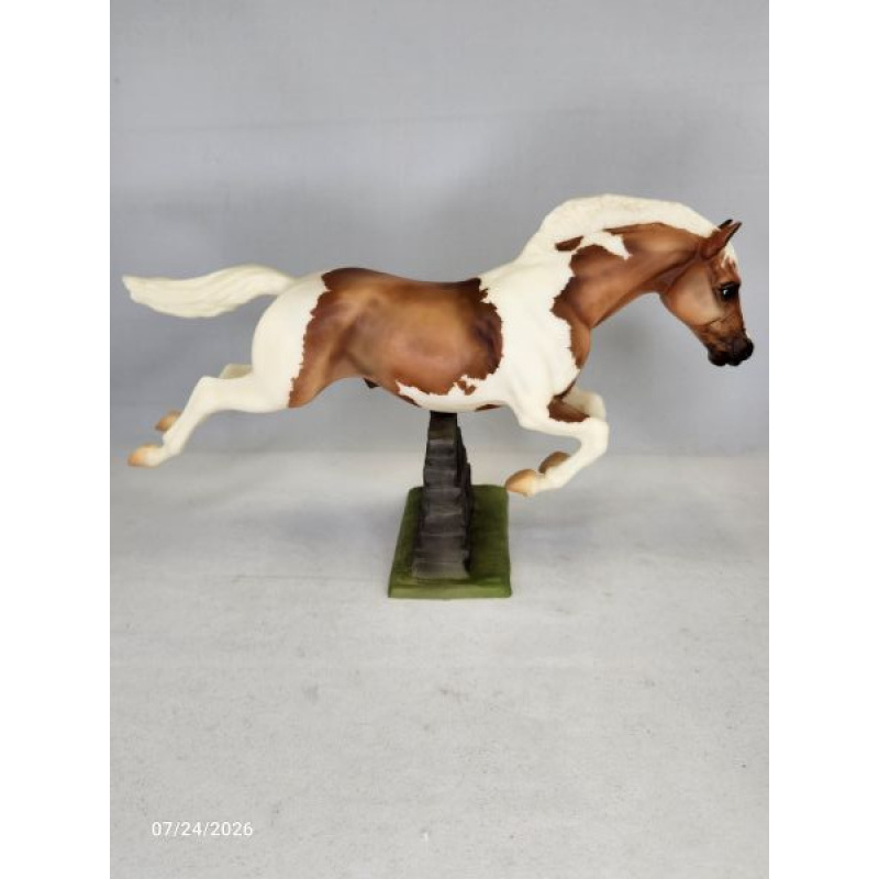Fun Foal Stallion