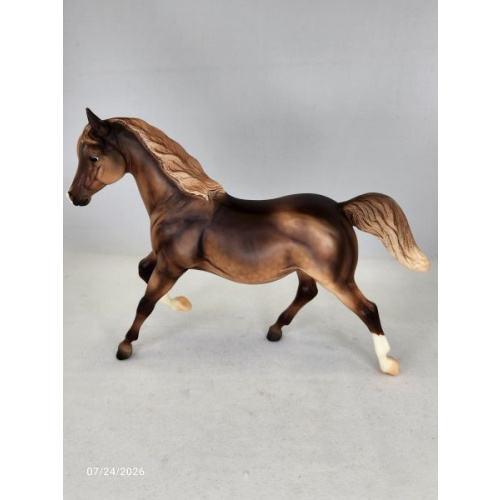 Fun Foal Mare