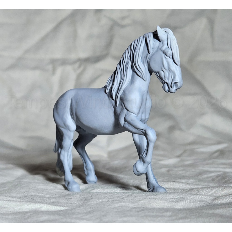 CM SM Fireheart