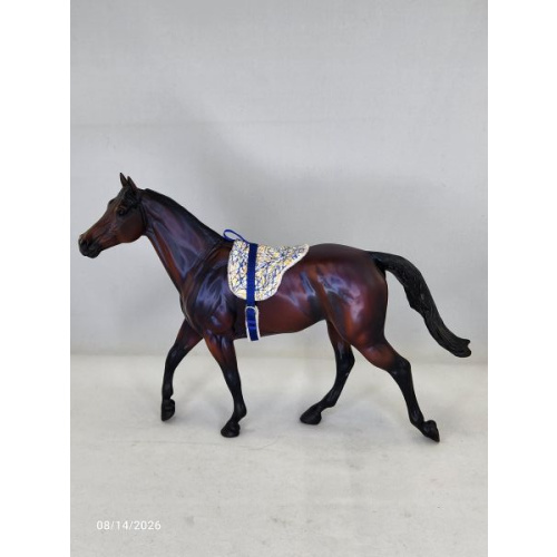 Blue & Yellow Pick-up Sticks Bareback Pad  BBP004