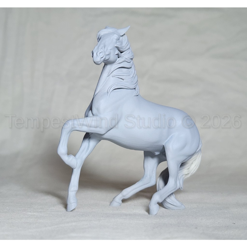 CM Breyer SM Alborozo