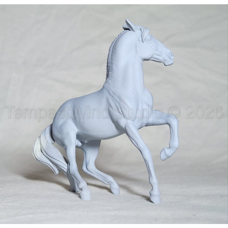 CM Breyer SM Alborozo
