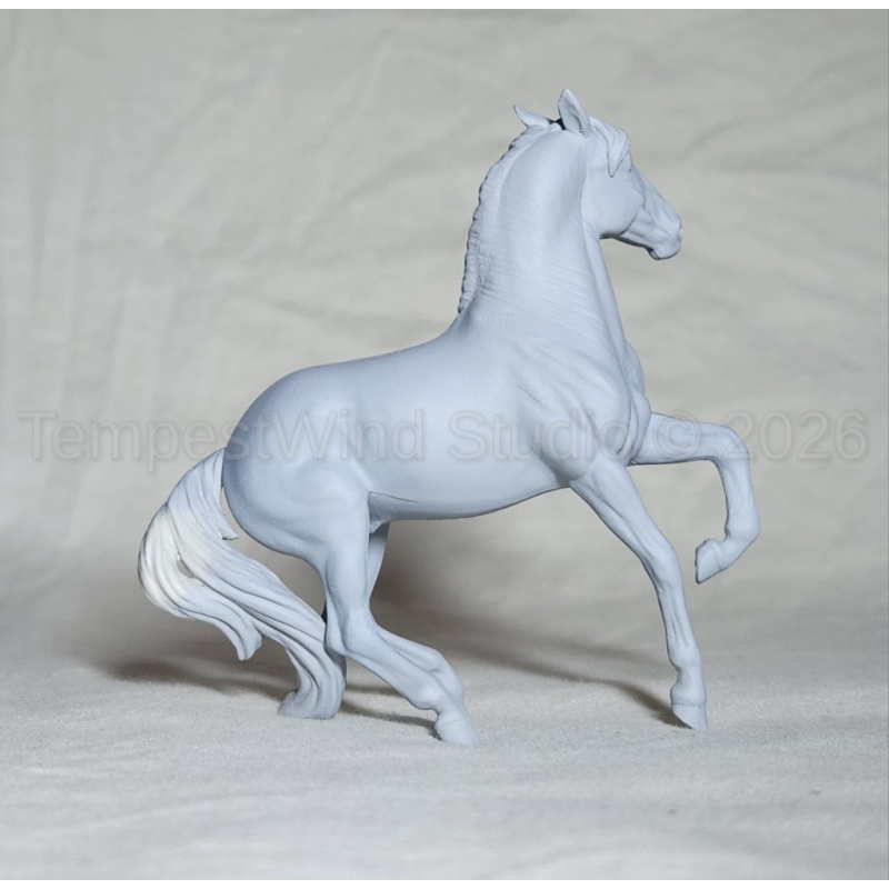CM Breyer SM Alborozo