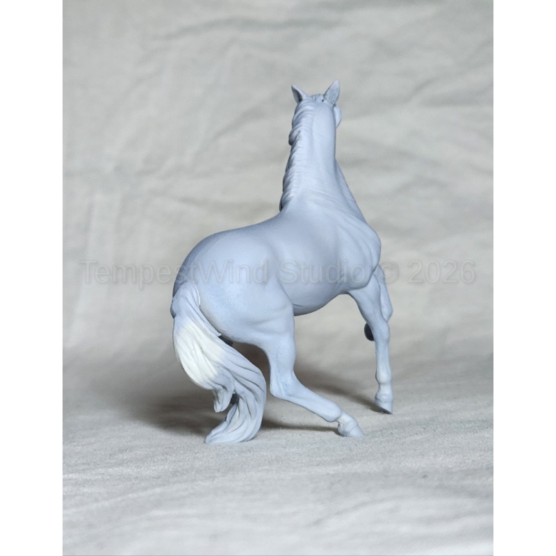 CM Breyer SM Alborozo